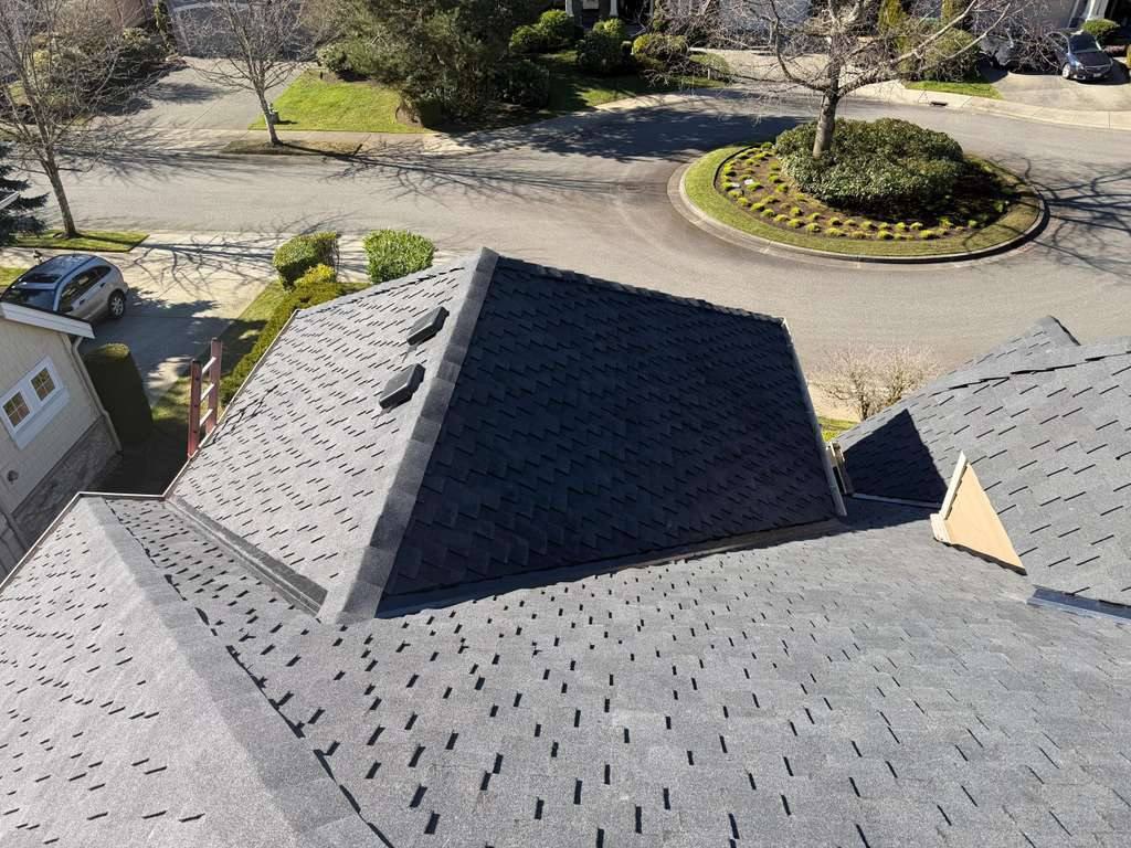 Heron 01 roof replacement dark shingles hip roof