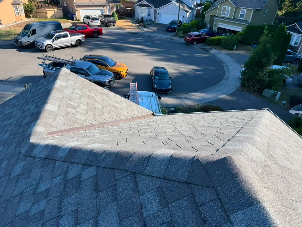 Heron 03 asphalt shingle roof ridge cul de sac