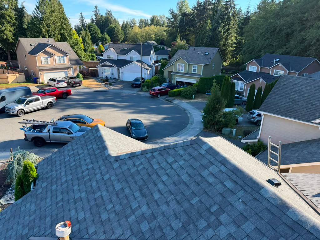 Heron 04 asphalt shingle roof neighborhood view